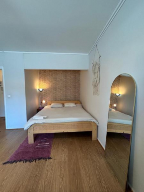 Studio apartment near the center